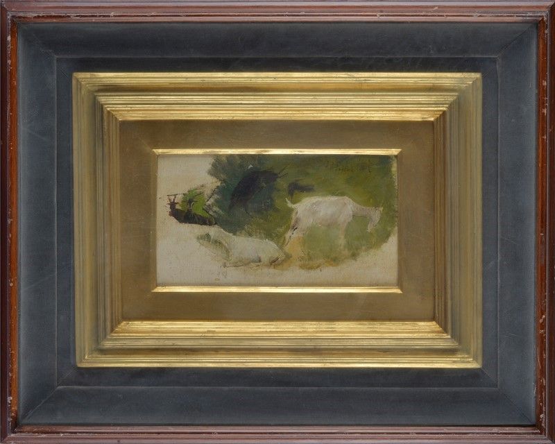 Francesco Paolo Michetti - Studio per Capre