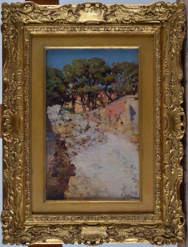 Carmine Ciardiello - Strada di Campagna