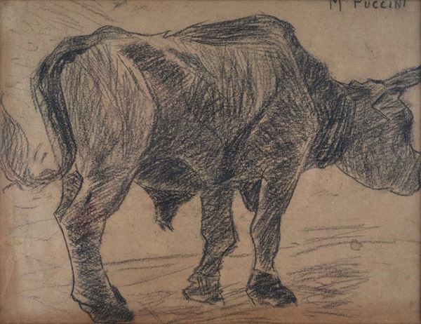 Mario Puccini - Cow