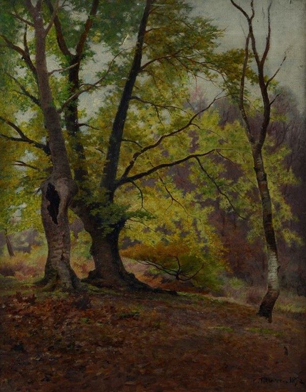 Scuola Francese, XIX - XX sec. - Sottobosco