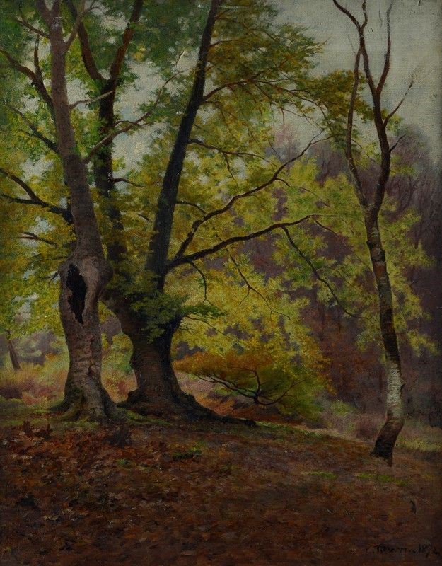 Scuola Francese, XIX - XX Sec. - Sottobosco