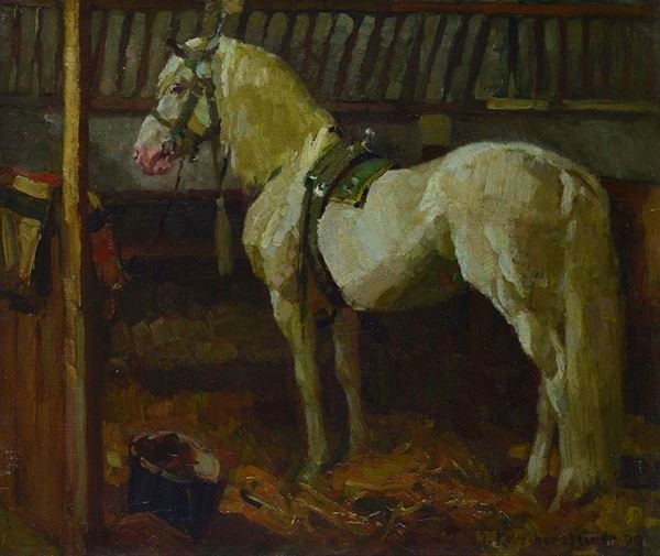 Anonimo, XIX - XX sec. - Cavallo bianco