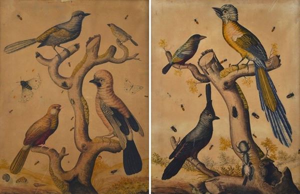 Scuola Europea, XVIII - XIX sec. - Birds and butterflies