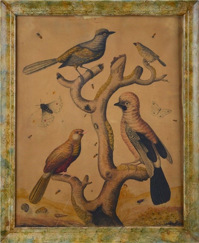 Scuola Europea, XVIII - XIX Sec. - Uccelli e Farfalle