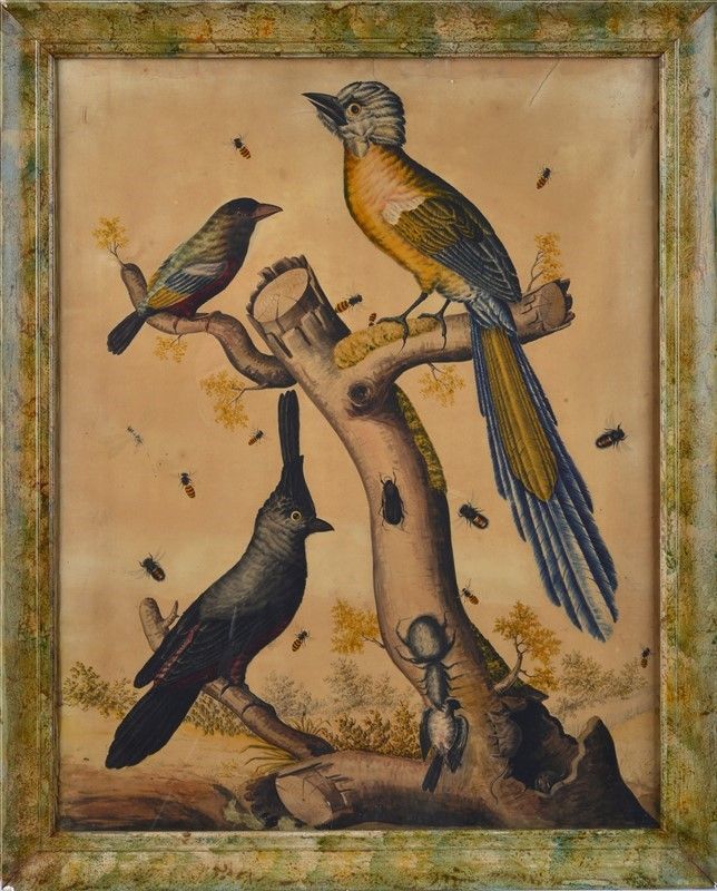 Scuola Europea, XVIII - XIX Sec. - Uccelli e Farfalle