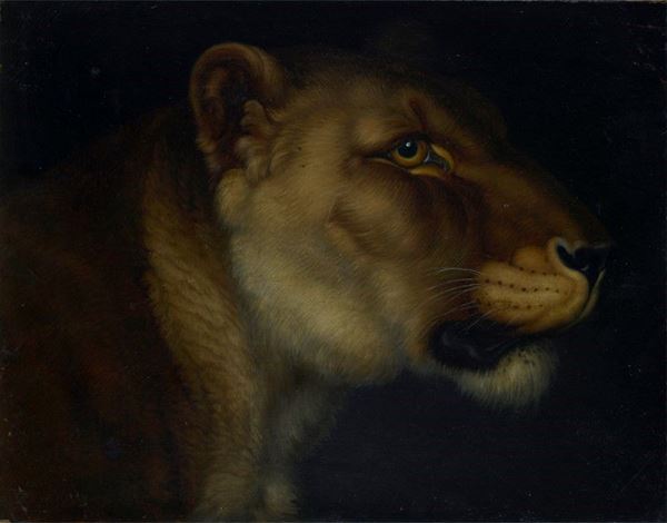 Scuola Tedesca, XIX sec. - Lioness