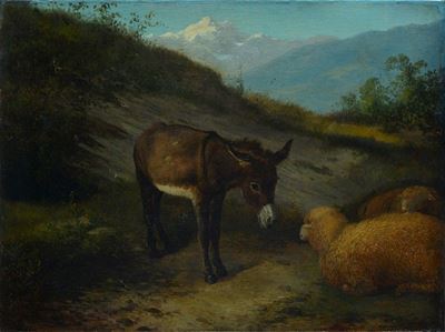 Asinello e Pecore