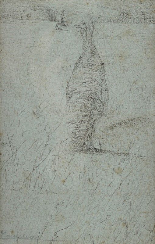Ludovico Tommasi - Tacchino