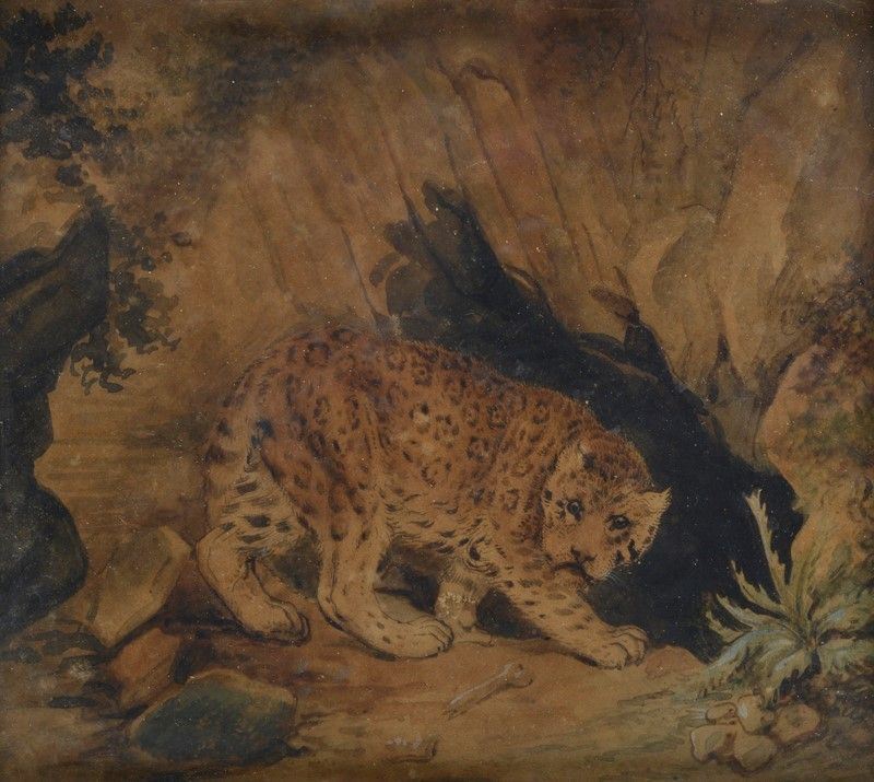 Scuola Europea, XIX Sec. - La Tana della Lince