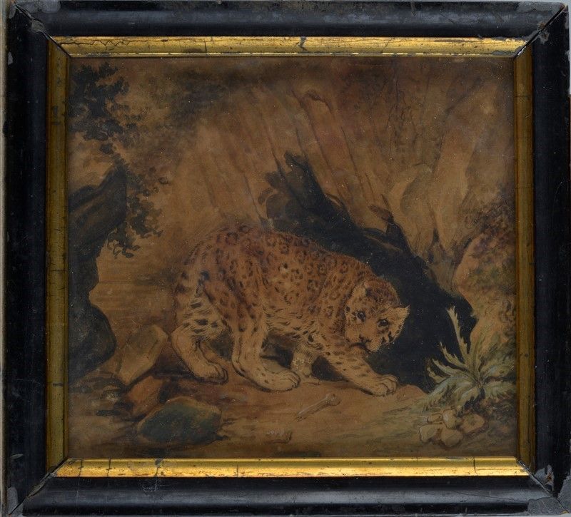 Scuola Europea, XIX Sec. - La Tana della Lince