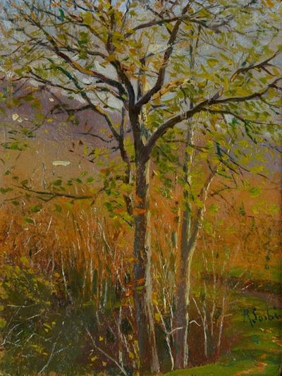 Alberi