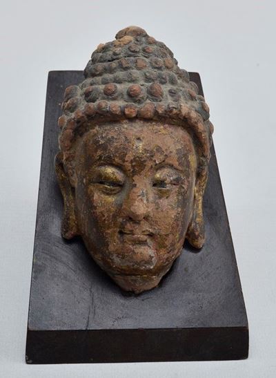 Testa di Buddha