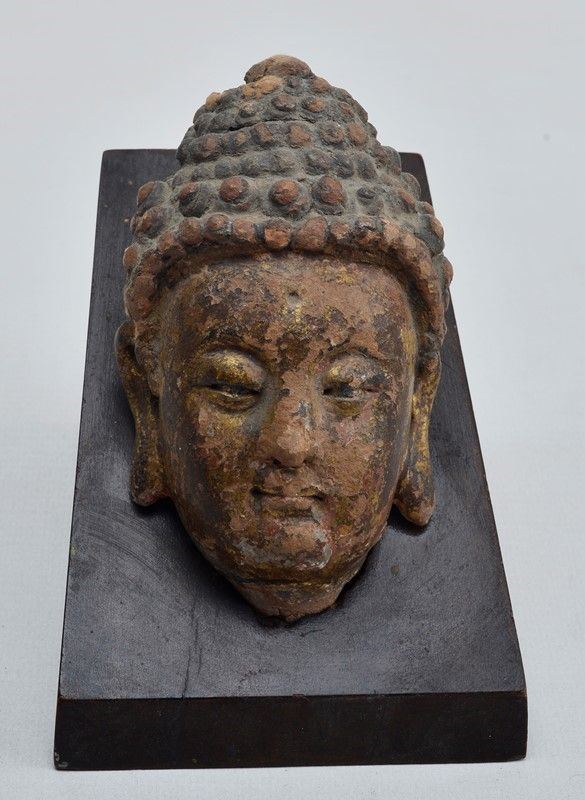 Head of Buddha  - Terracotta with traces of gilding - Auction ANTIQUES - I - Galleria Pananti Casa d'Aste