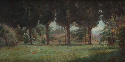 Paesaggio Toscano in Estate