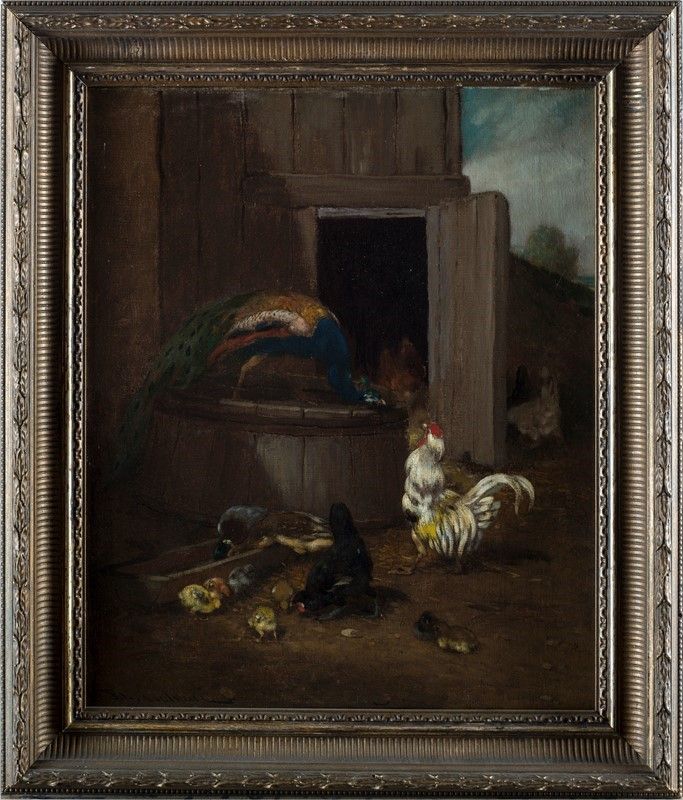 Scuola Europea, XIX Sec. - Pavone, Gallo e Galline Nell'aia