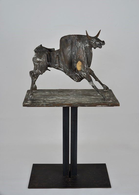 Nag Arnoldi - Toro