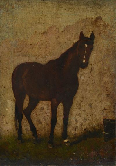 Cavallo