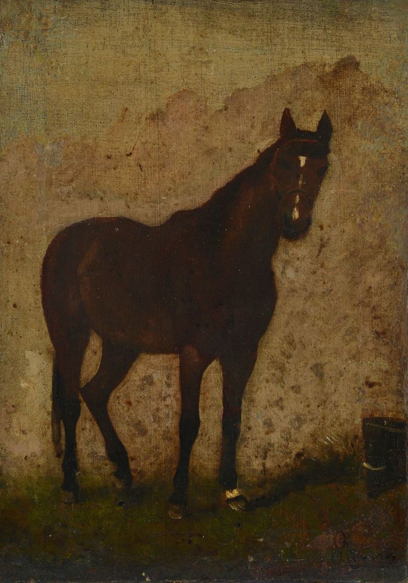 Anonimo, XIX Sec. - Cavallo