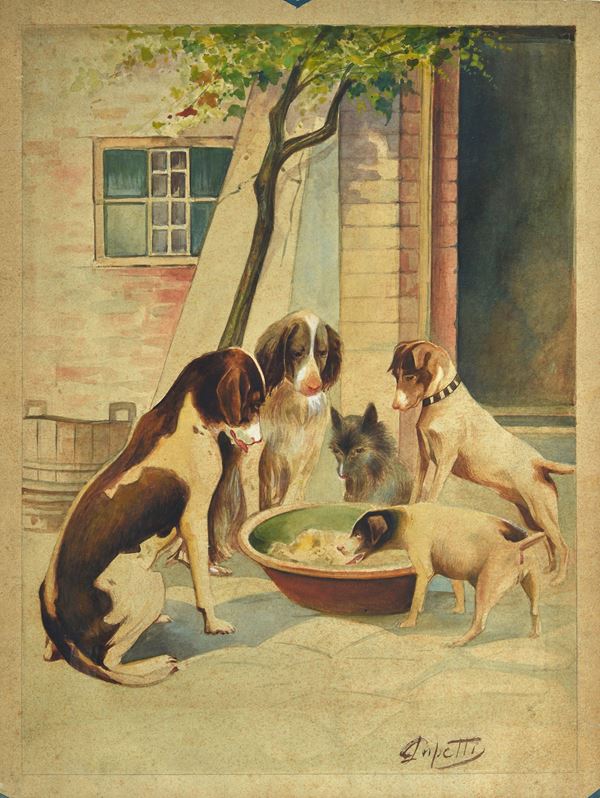 Anonimo, XX sec. - Dogs
