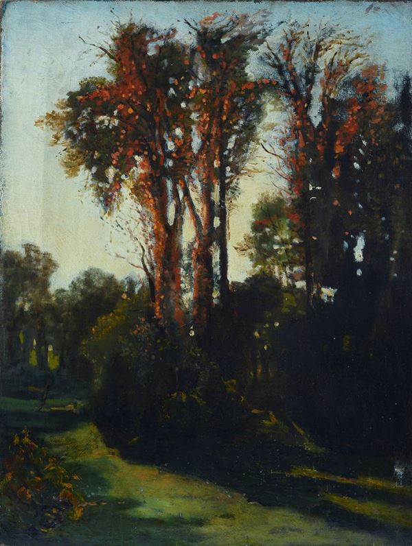 Anonimo, XX sec. - Alberi