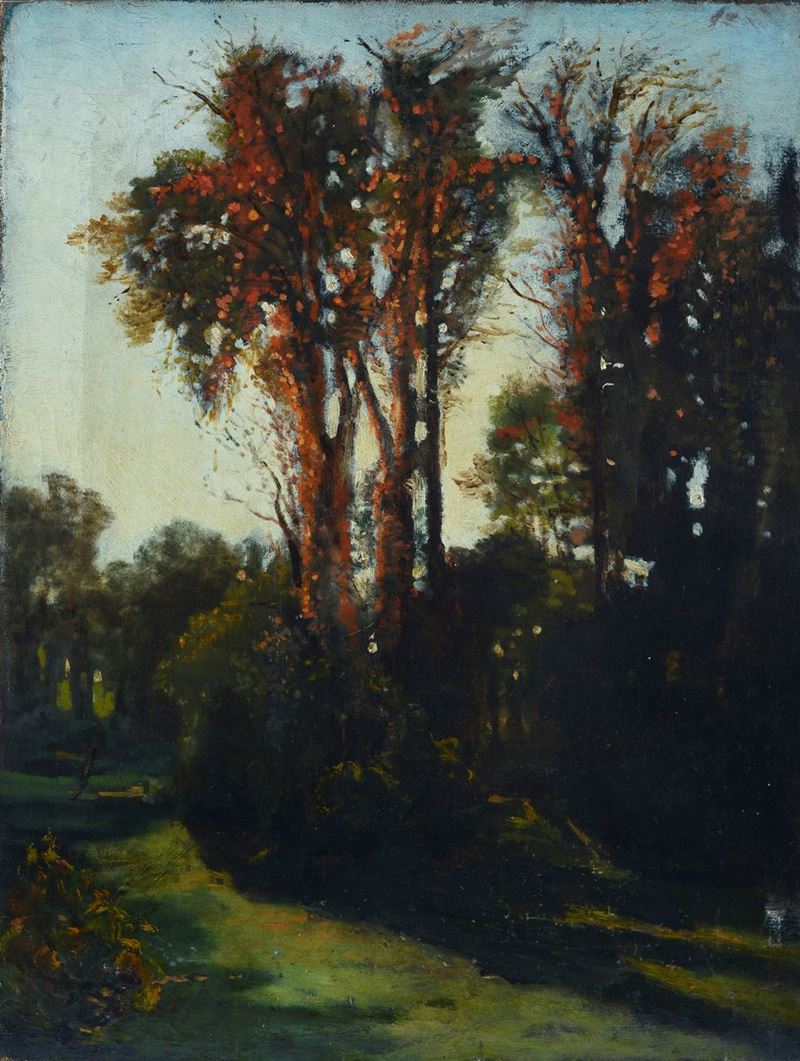 Anonimo, XX Sec. - Alberi