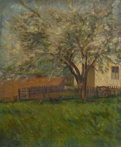 Giardino con Albero