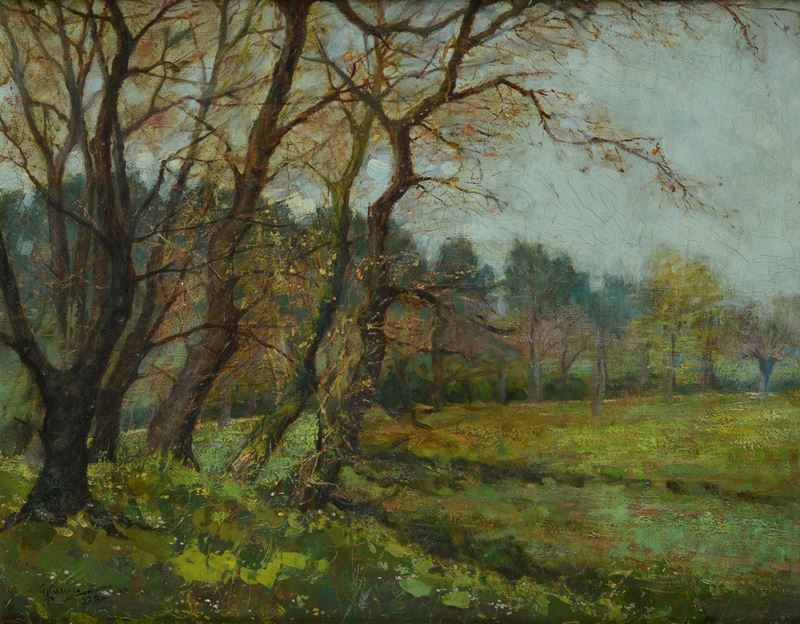 Giuseppe Casciaro - Albereta