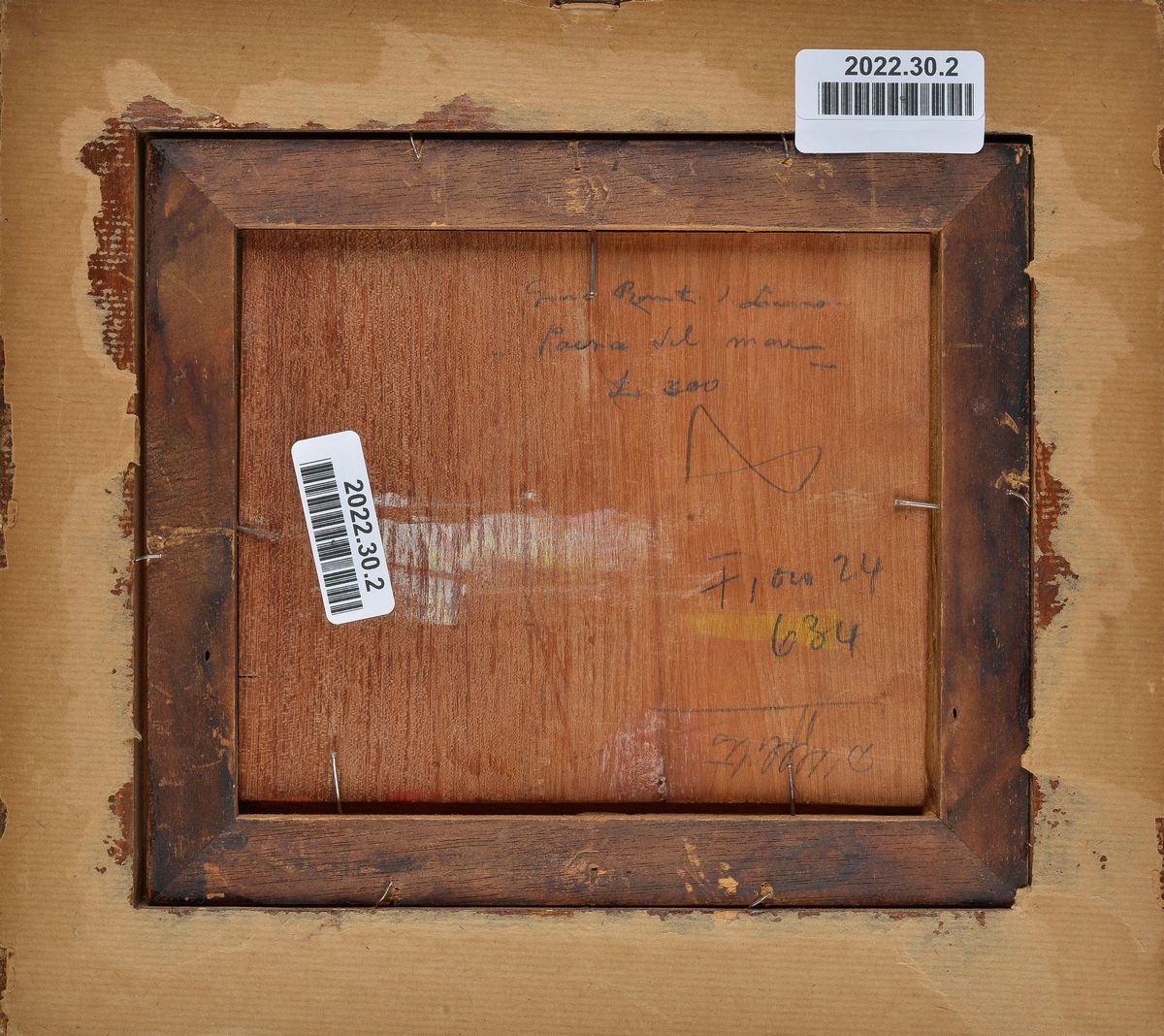 Gino Romiti - Marina e Arbusti