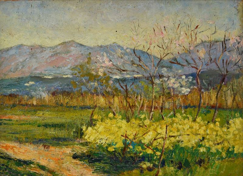 Dante Conte - Campo Fiorito