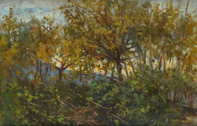 Alberi