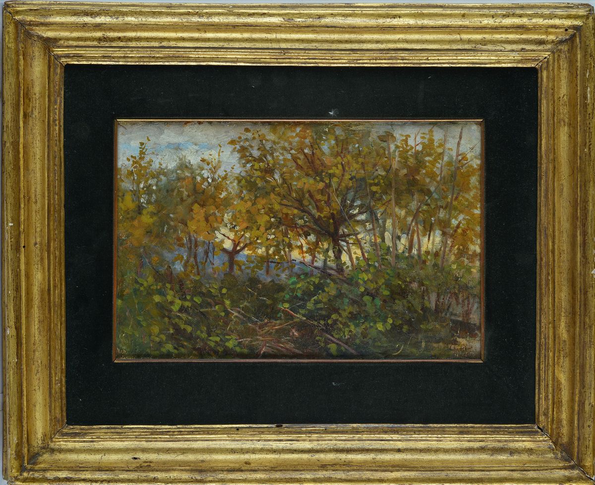 Luigi Gioli - Alberi