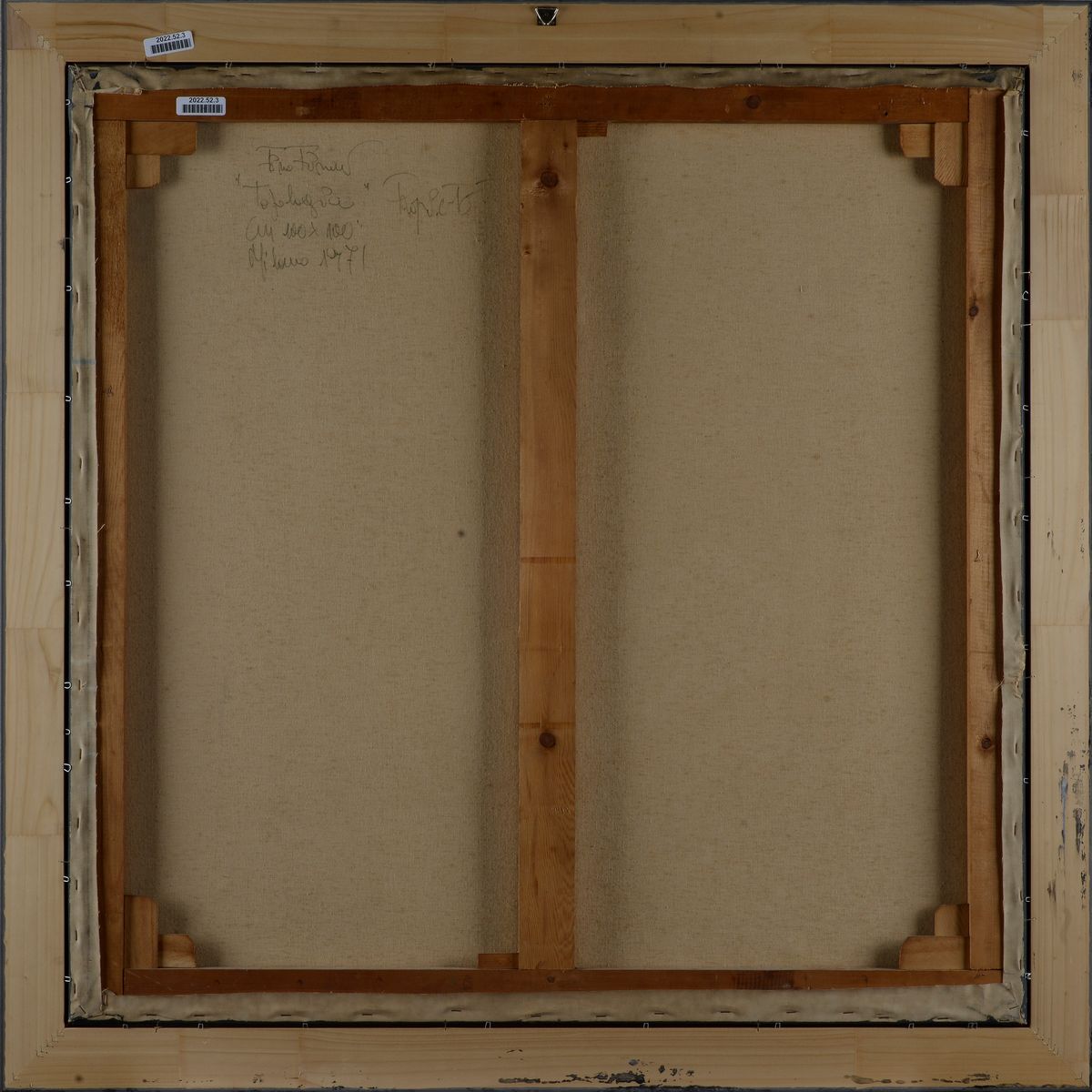 Pino Pinelli - Topologia