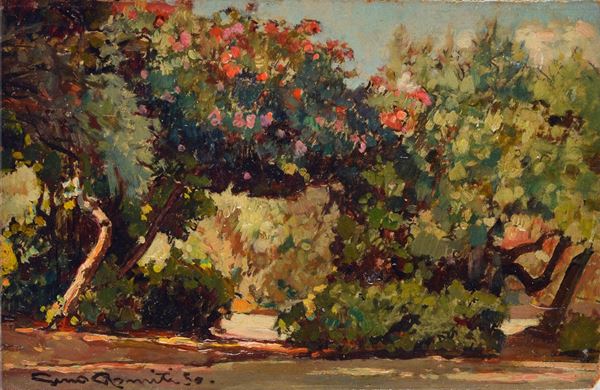 Gino Romiti - Giardino
