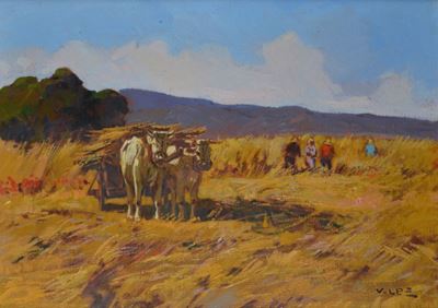 Raccolta di Grano