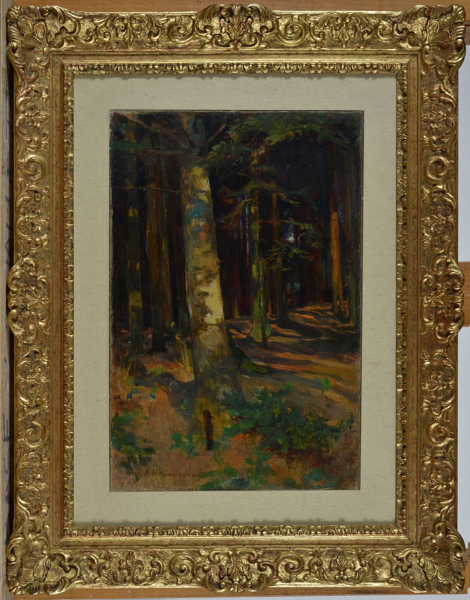 Alfonso Hollaender - Bosco