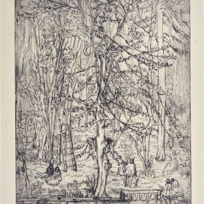 Il Grande Albero