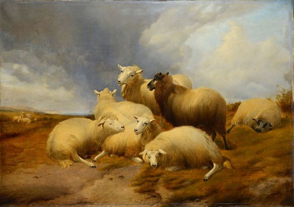 Thomas Sidney Cooper - Flock
