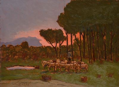 Tramonto tra i Pini