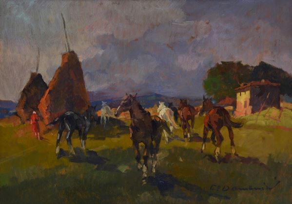 Carlo Domenici - Maremma