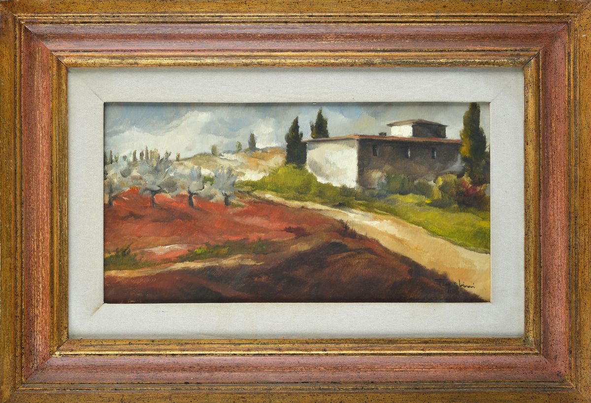 Gianfranco Frezzolini - Paesaggio con Case