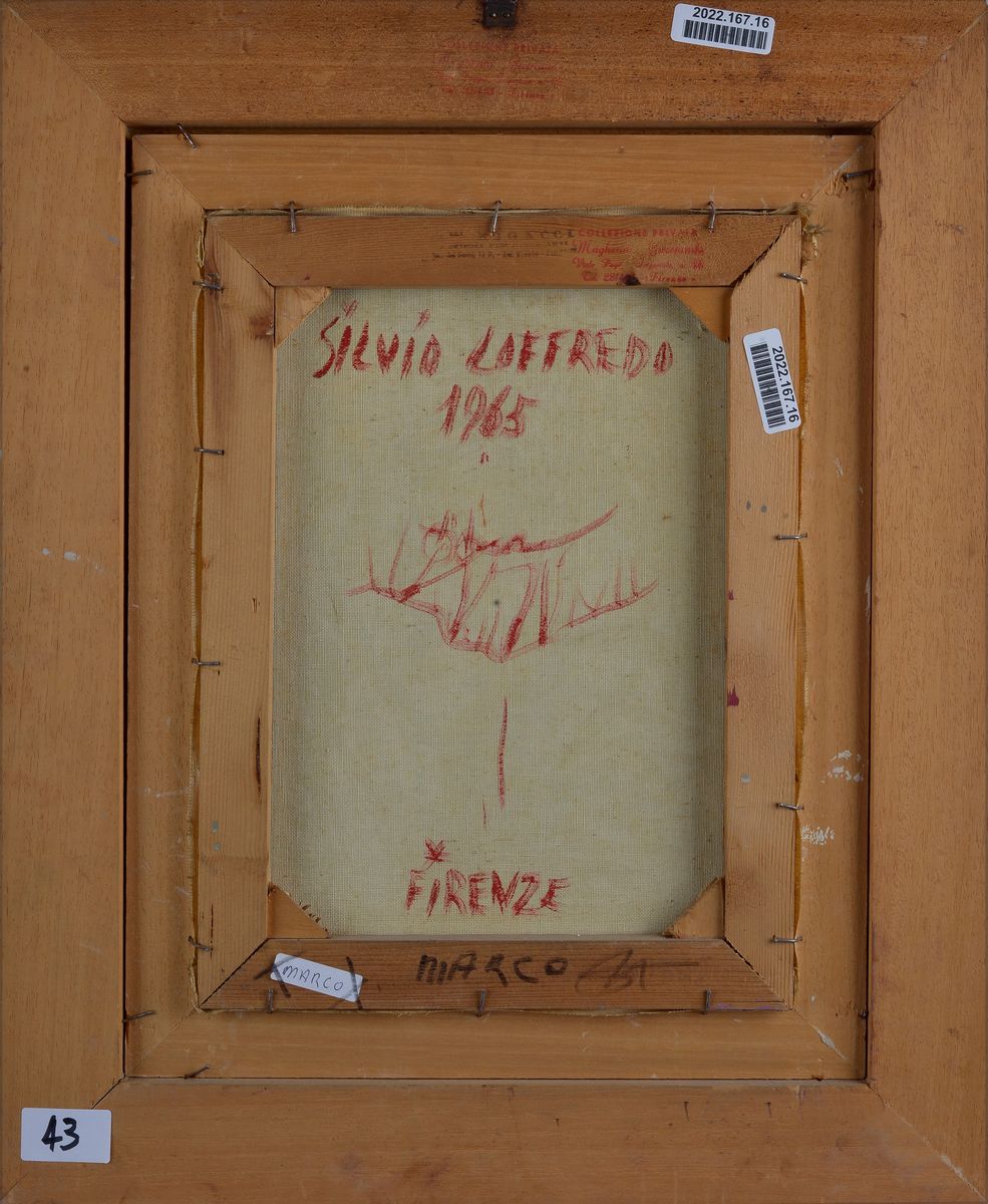 Silvio Loffredo - Volto