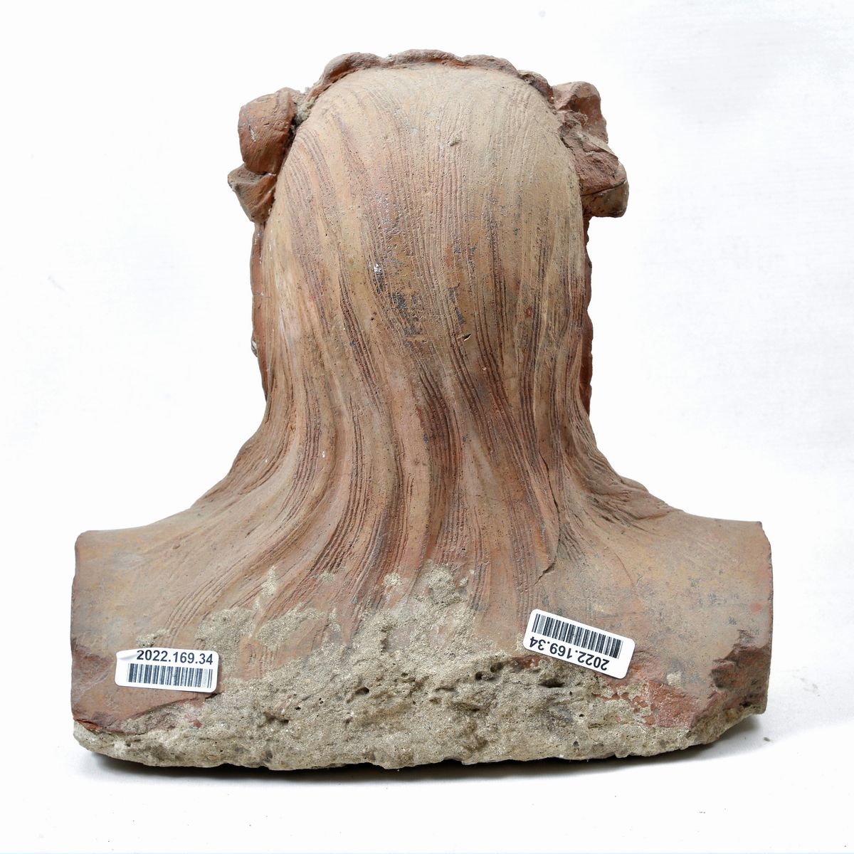 Busto Femminile
