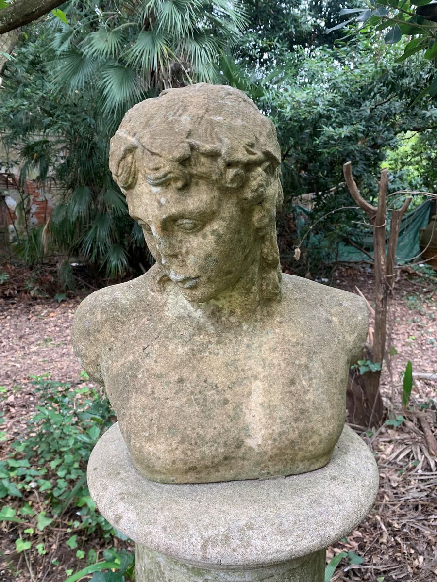 Busto di Bacco
