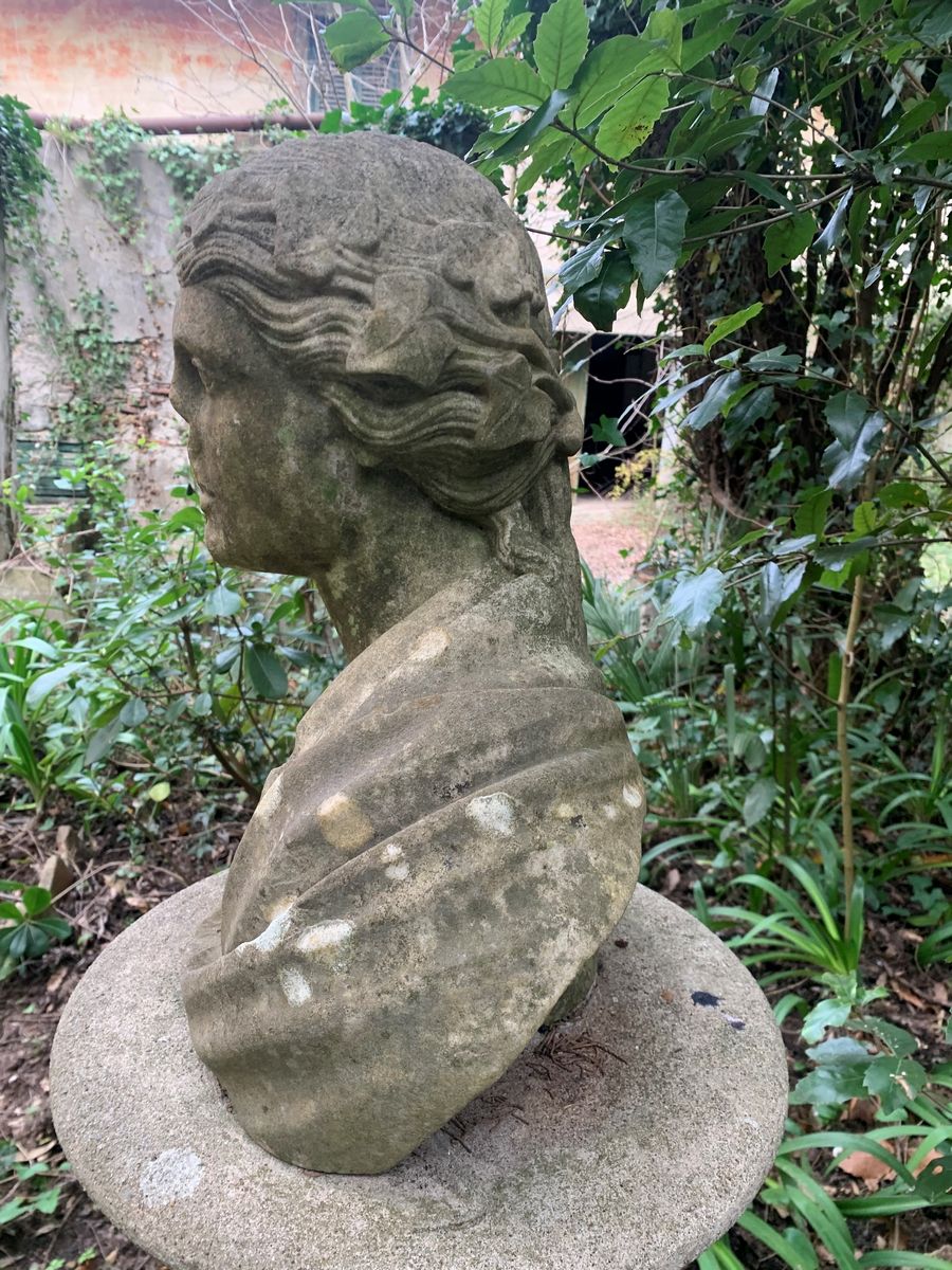 Busto di Bacco