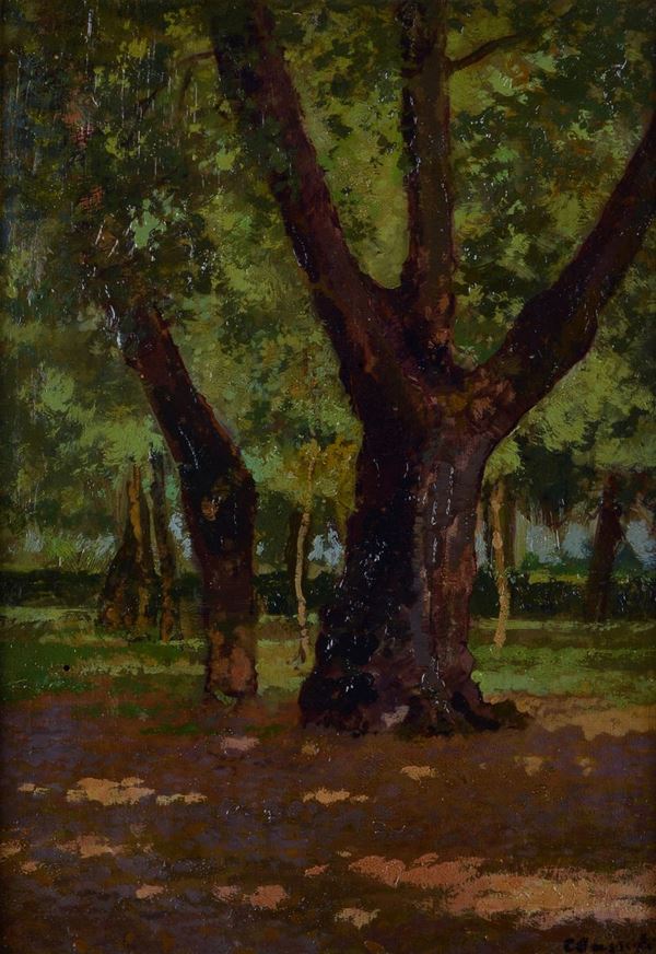 Carlo Passigli - Bosco