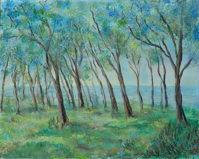 Alberi