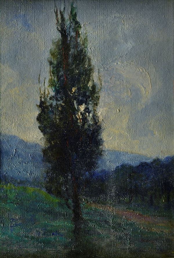 Anonimo, XX sec. - Campagna con albero