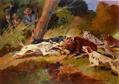 Caccia al Cinghiale