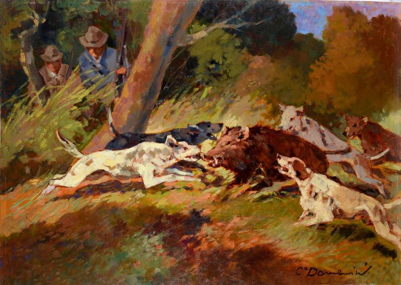 Carlo Domenici - Caccia al Cinghiale