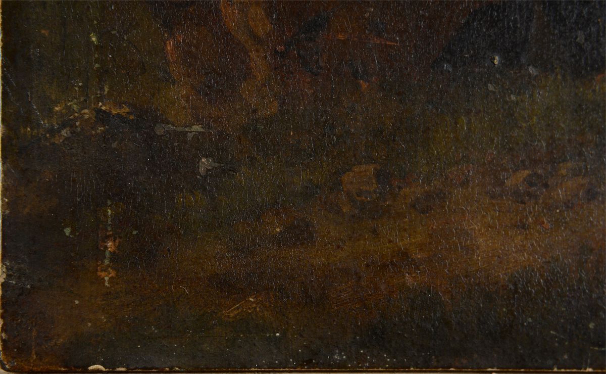 Anonimo, XIX Sec. - Paesaggio con Rocce